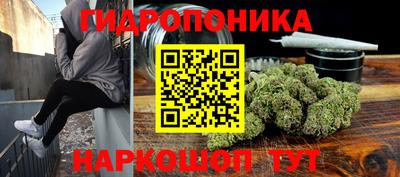 прущие грибы Лесосибирск