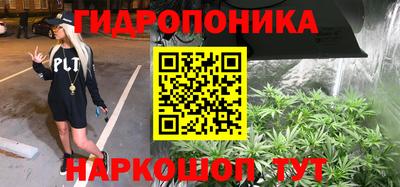 прущие грибы Лесосибирск