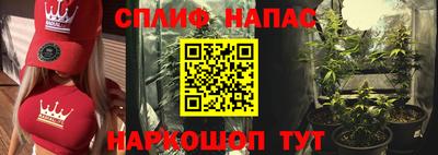 прущие грибы Лесосибирск